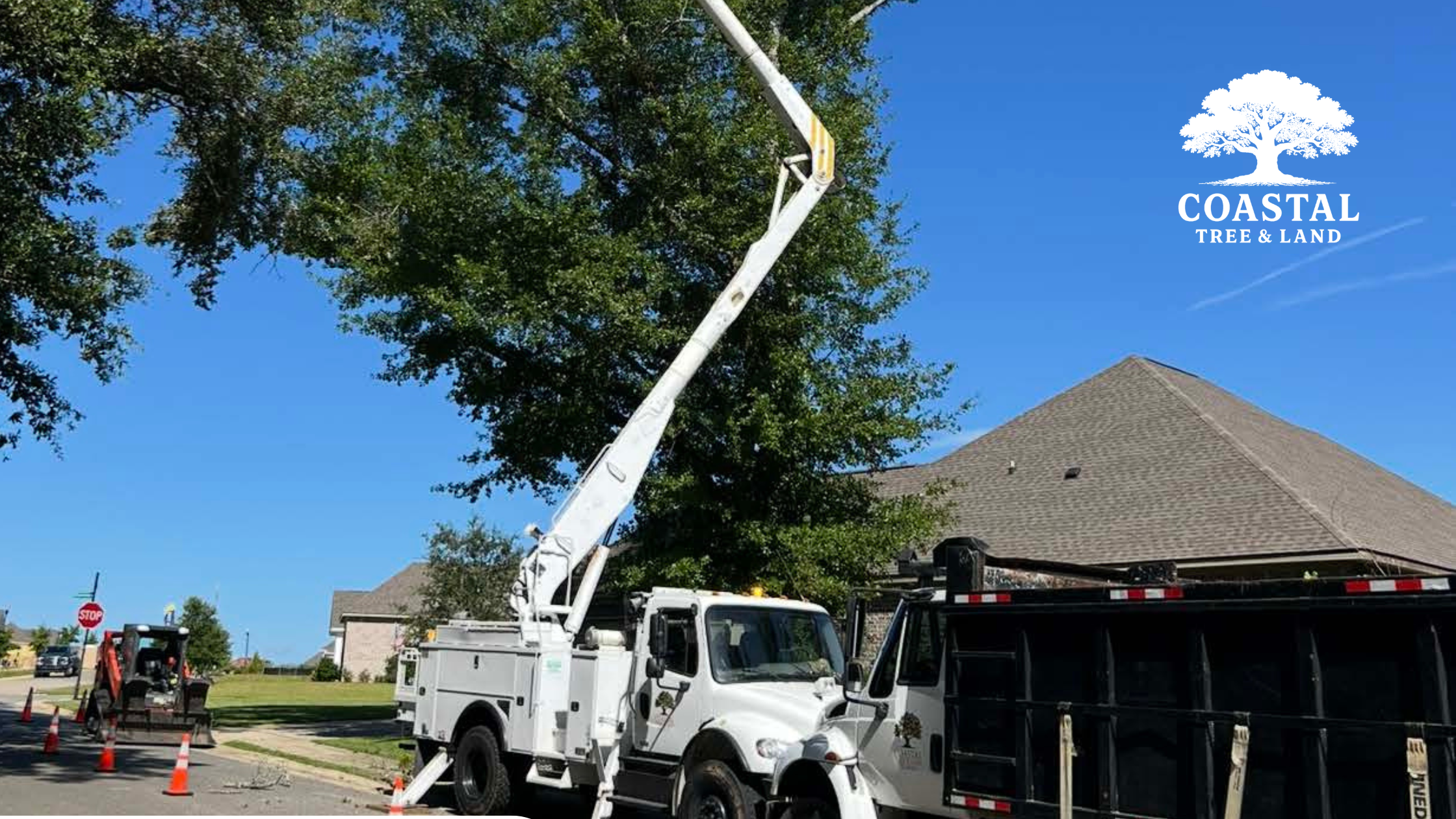 Top Warning Signs Your Baldwin County Property Needs Tree Services