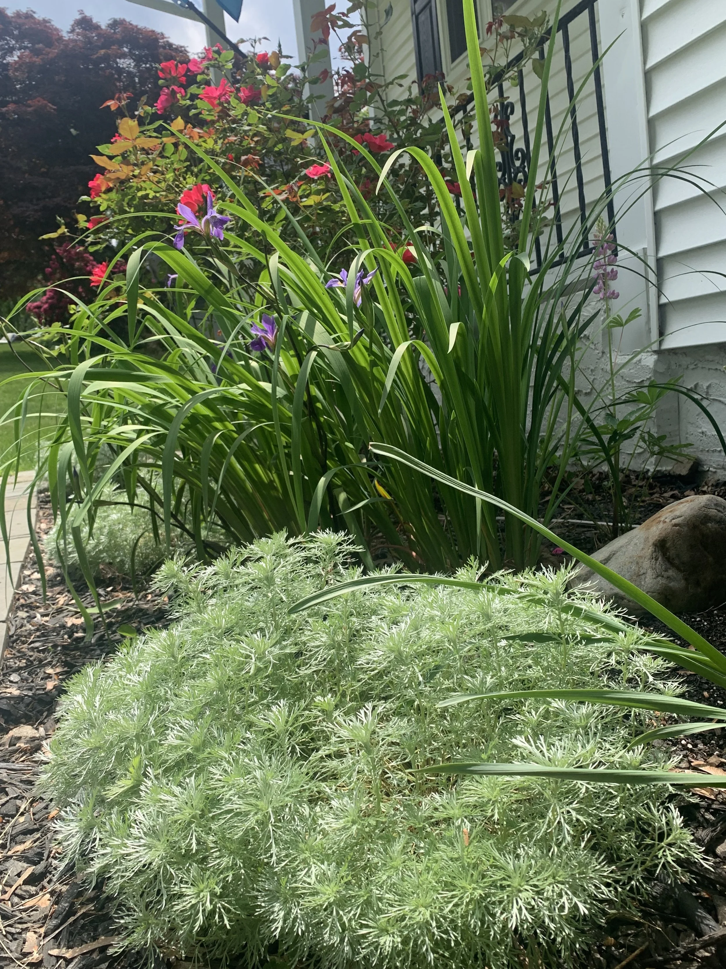 IMG_5808.jpeg