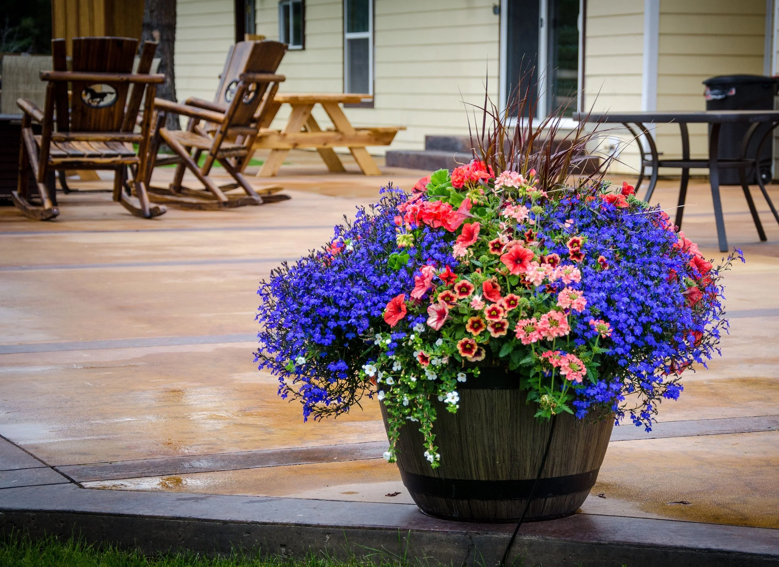 planter 3 px.jpg