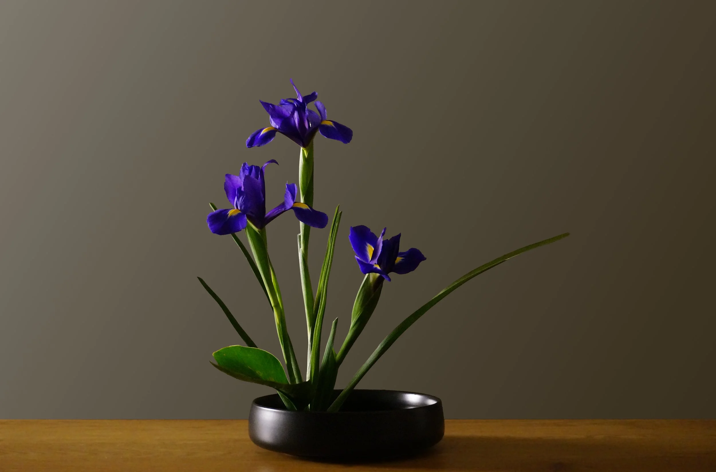 A small black bowl with purple irises and green leaves on a wooden surface with a plain background.