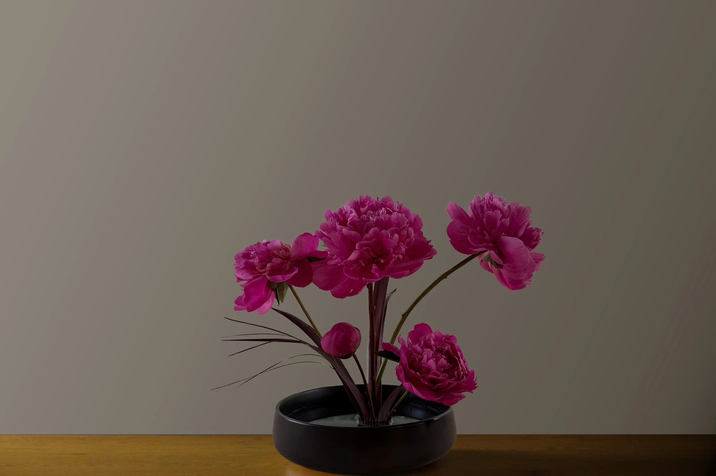 Peony Ikebana copy.jpg
