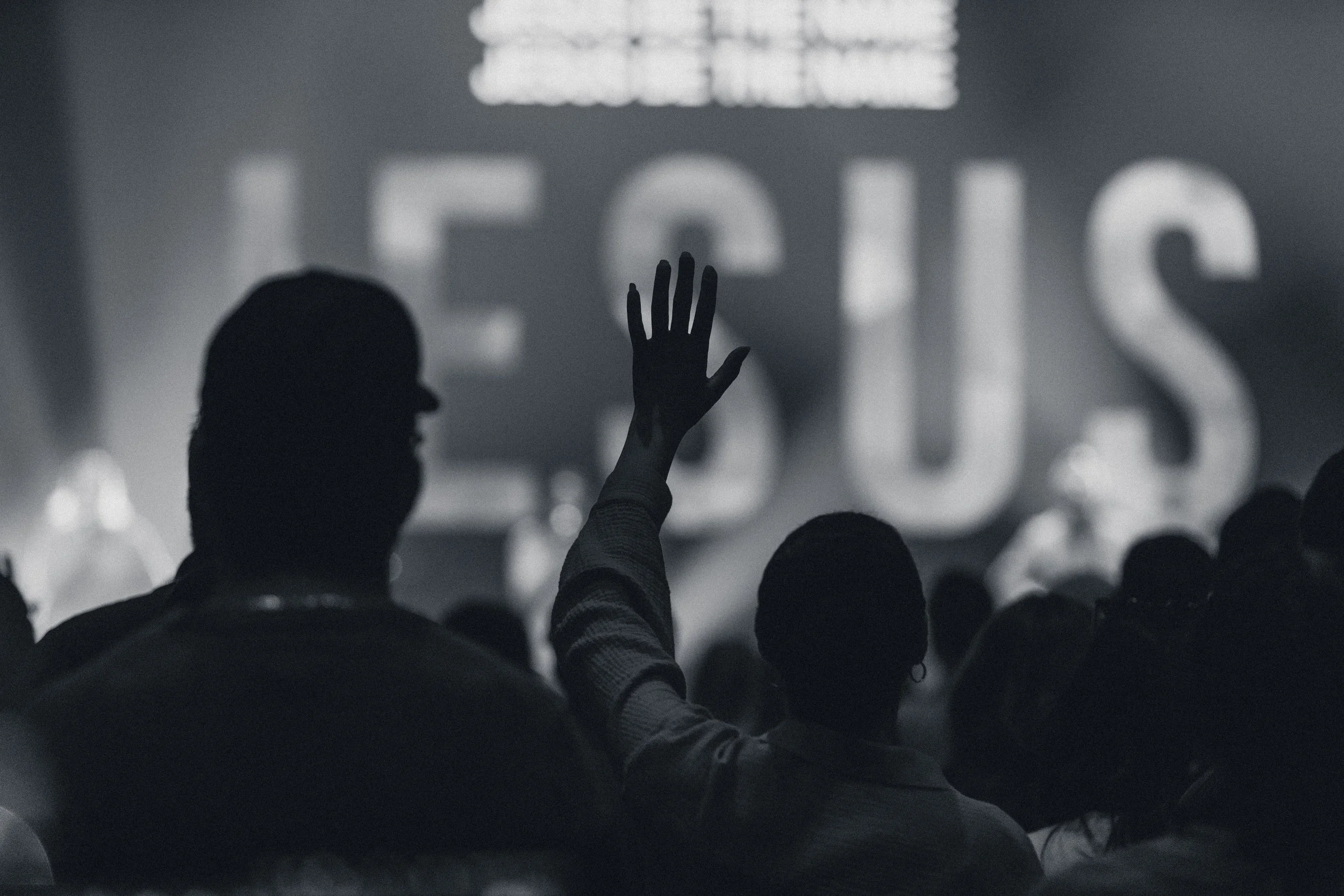 HQ8A0738.jpeg