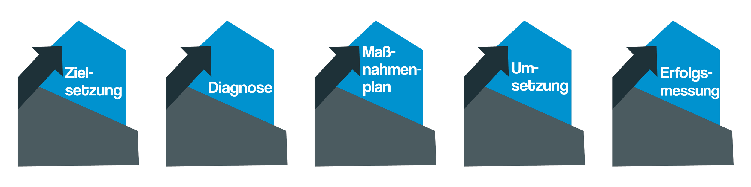 Flowchart mit fünf Schritten: Zielsetzung, Diagnose, Maßnahmenplan, Umsetzung, Erfolgsmessung.