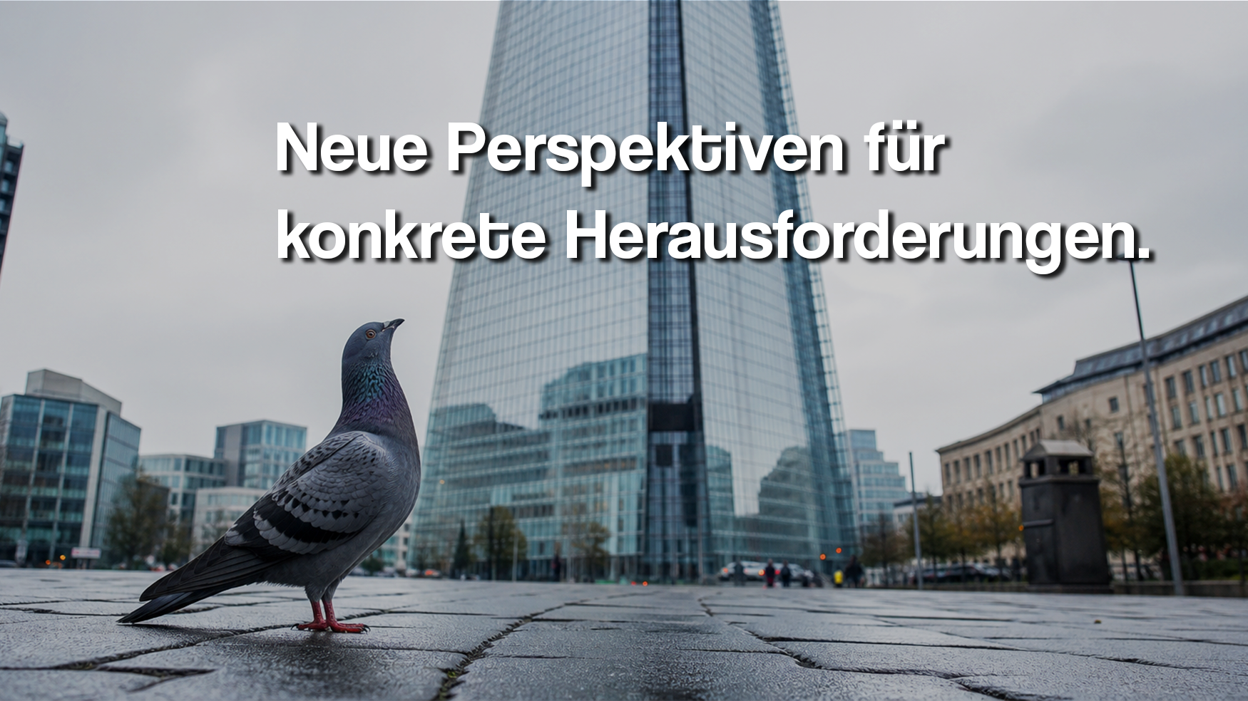 Eine Taube steht auf Pflastersteinen vor einem modernen Hochhaus in einer Stadt, im Hintergrund sind weitere Gebäude und ein grauer Himmel.