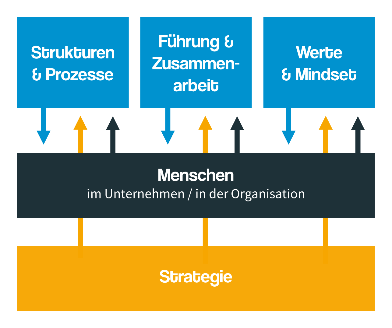 Struktur, Führung, Werte und Menschen in Organisationen. Diagramm zeigt, dass Menschen im Unternehmen Einfluss auf Strukturen, Führung und Werte haben, unterstützt durch strategische Planung.
