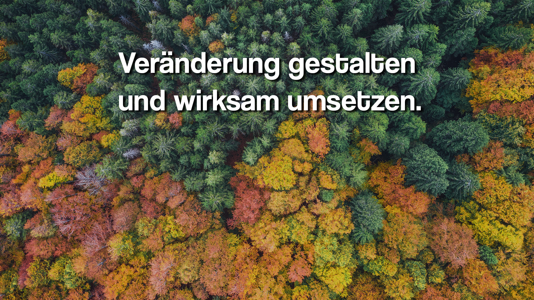 Vogelperspektive auf einen bunten Herbstwald mit Text 'Veränderung gestalten und wirkungsvoll umsetzen' in der Mitte.