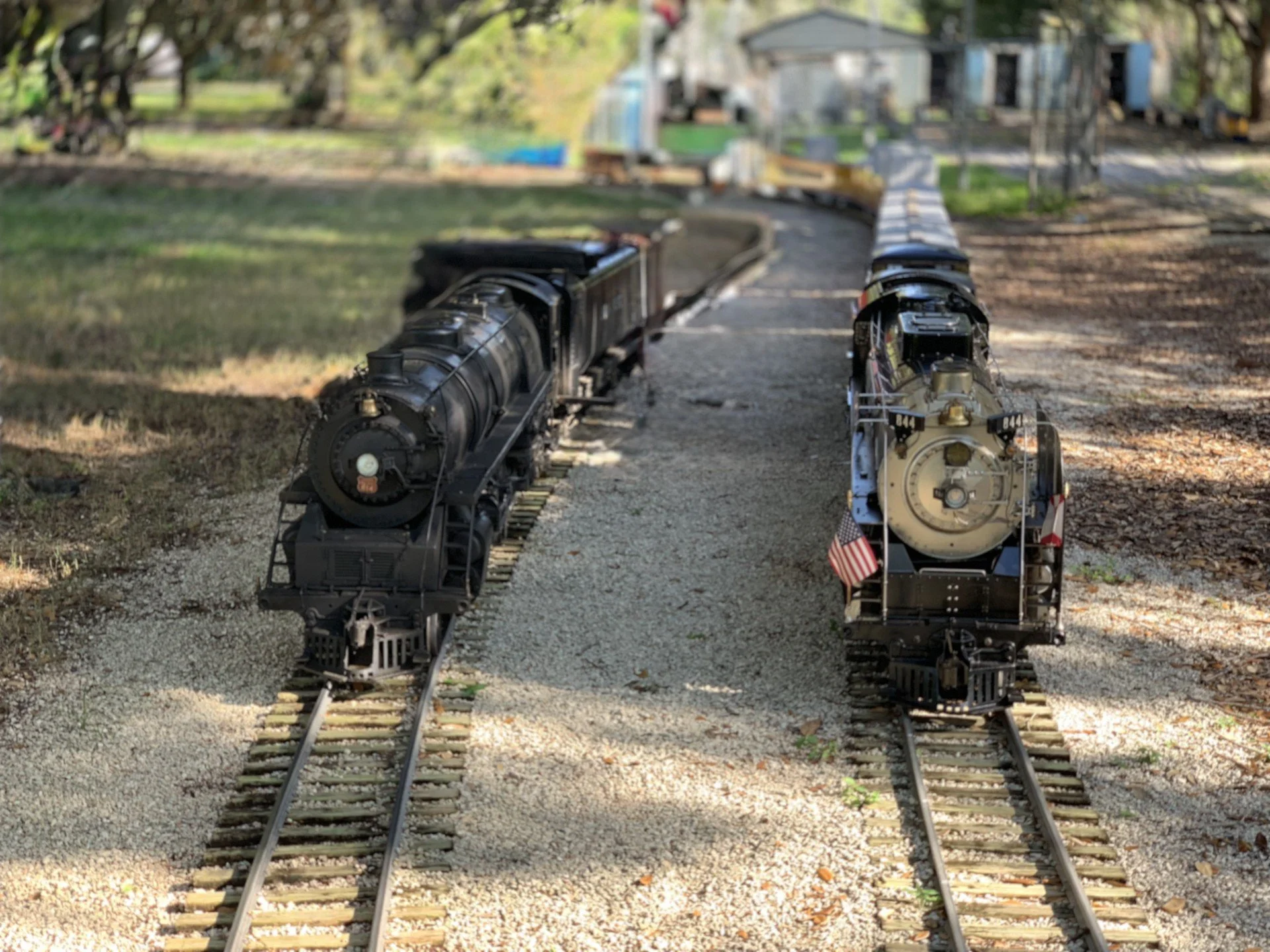 Two model steam locomotives on parallel tracks in a scenic outdoor setting.