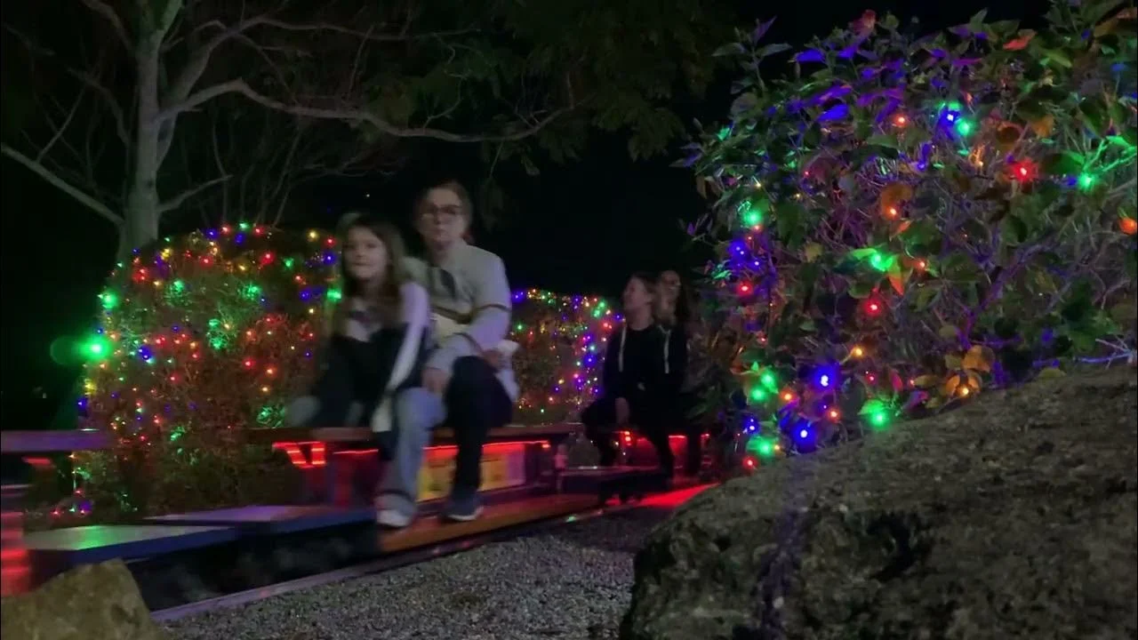 People riding a small train through a holiday light display at night. Colorful lights decorate the bushes and trees around them.
