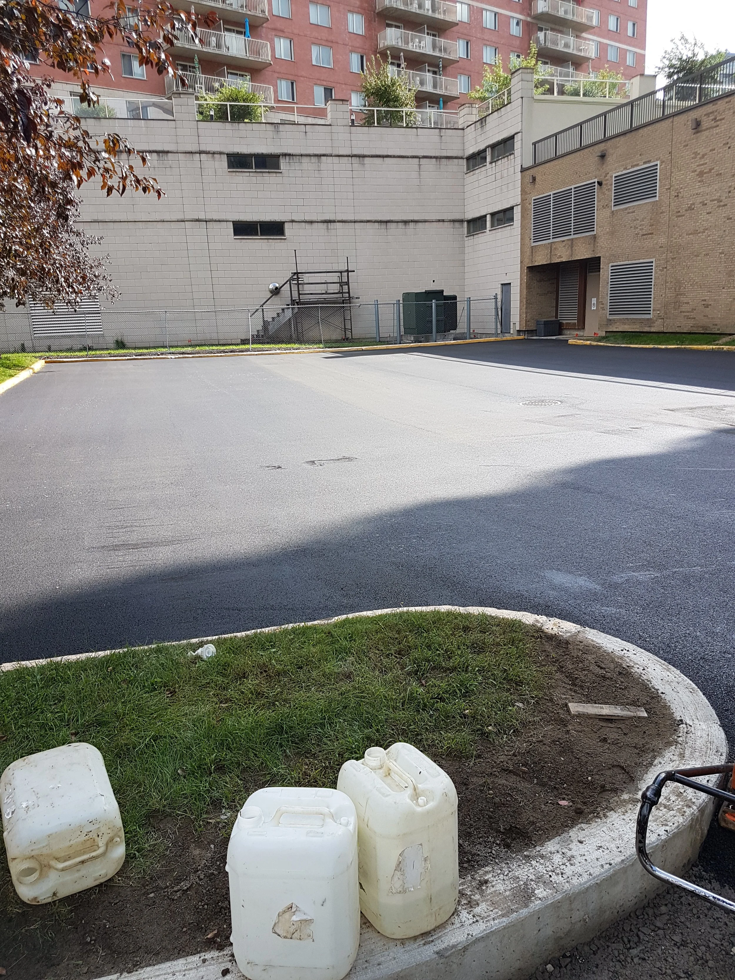 Un parking vide avec des bâtiments en arrière-plan, quelques containers en plastique blanc à l'avant, un arbre avec des feuilles rouges à gauche et un sol asphalté.
