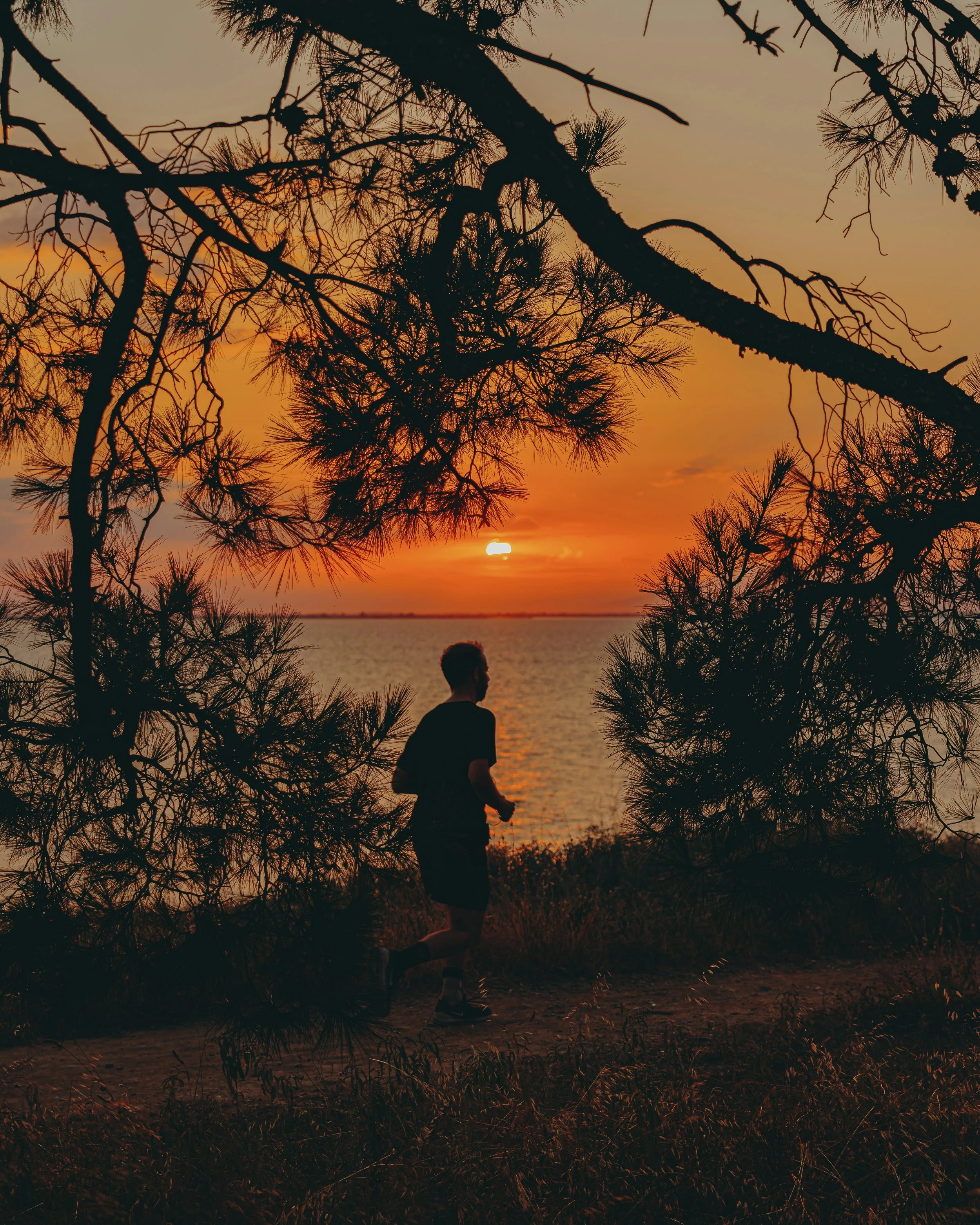 Person walking at sunset by water, representing movement, change and personal progress