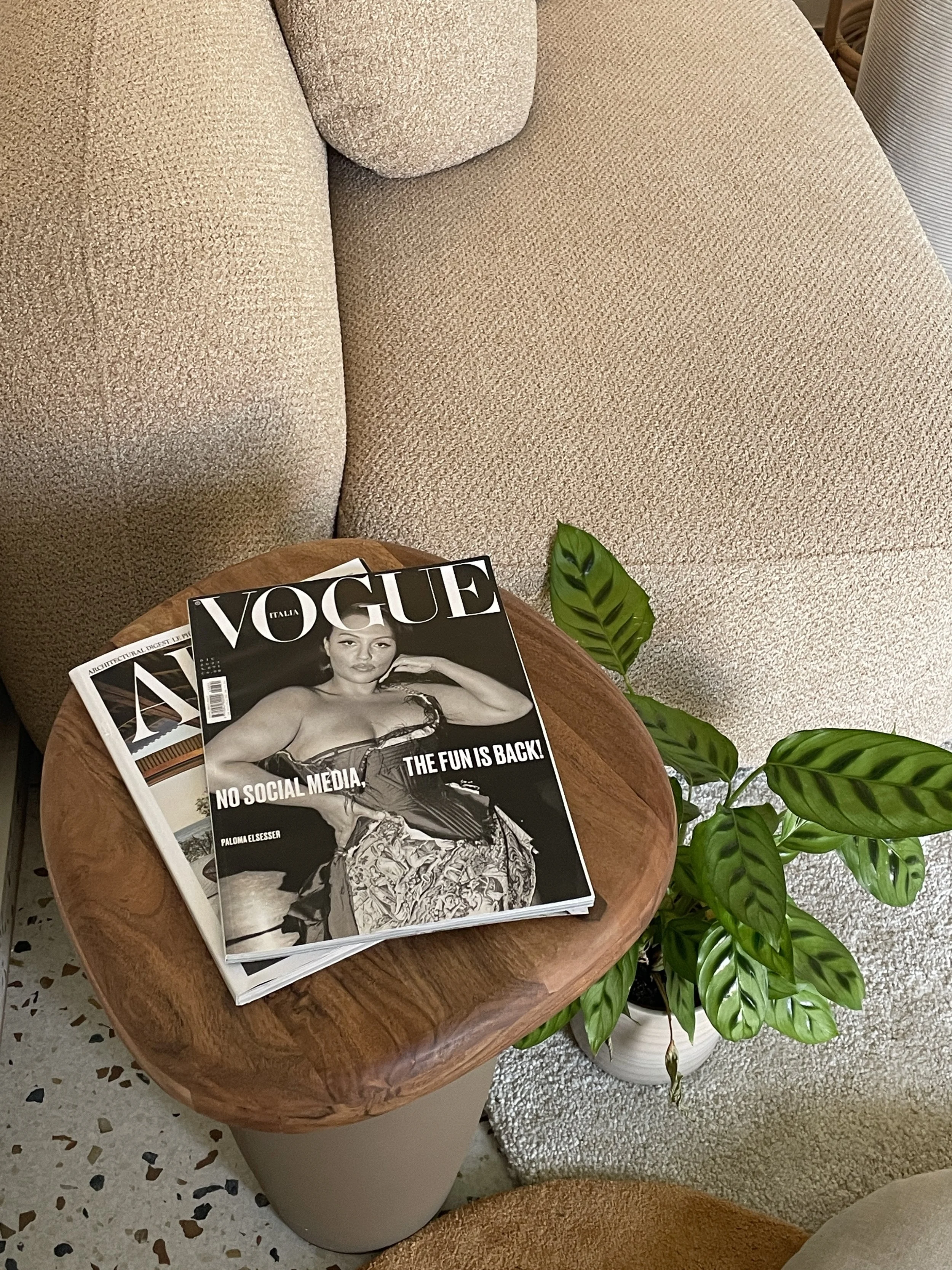 two magazines on a wooden table beside a plant