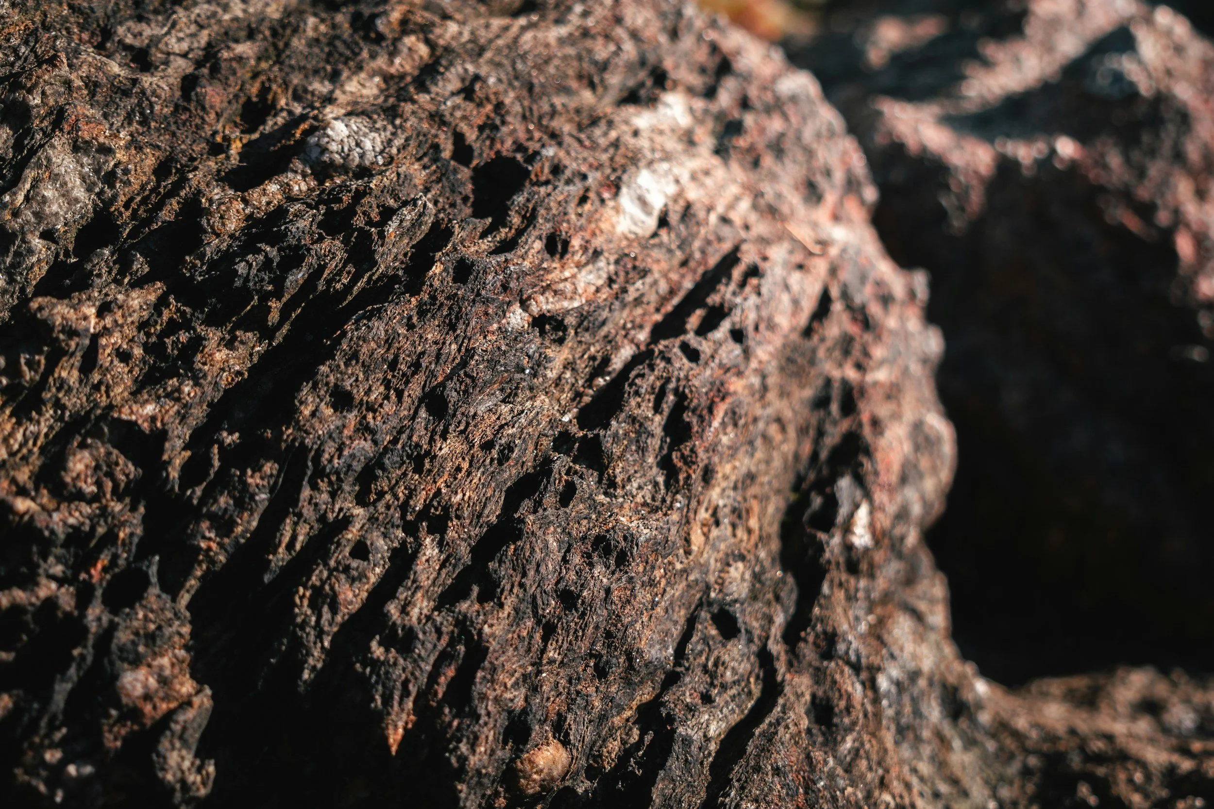 Close-up of rough, dark brown and reddish textured rock surface with small holes and cracks.