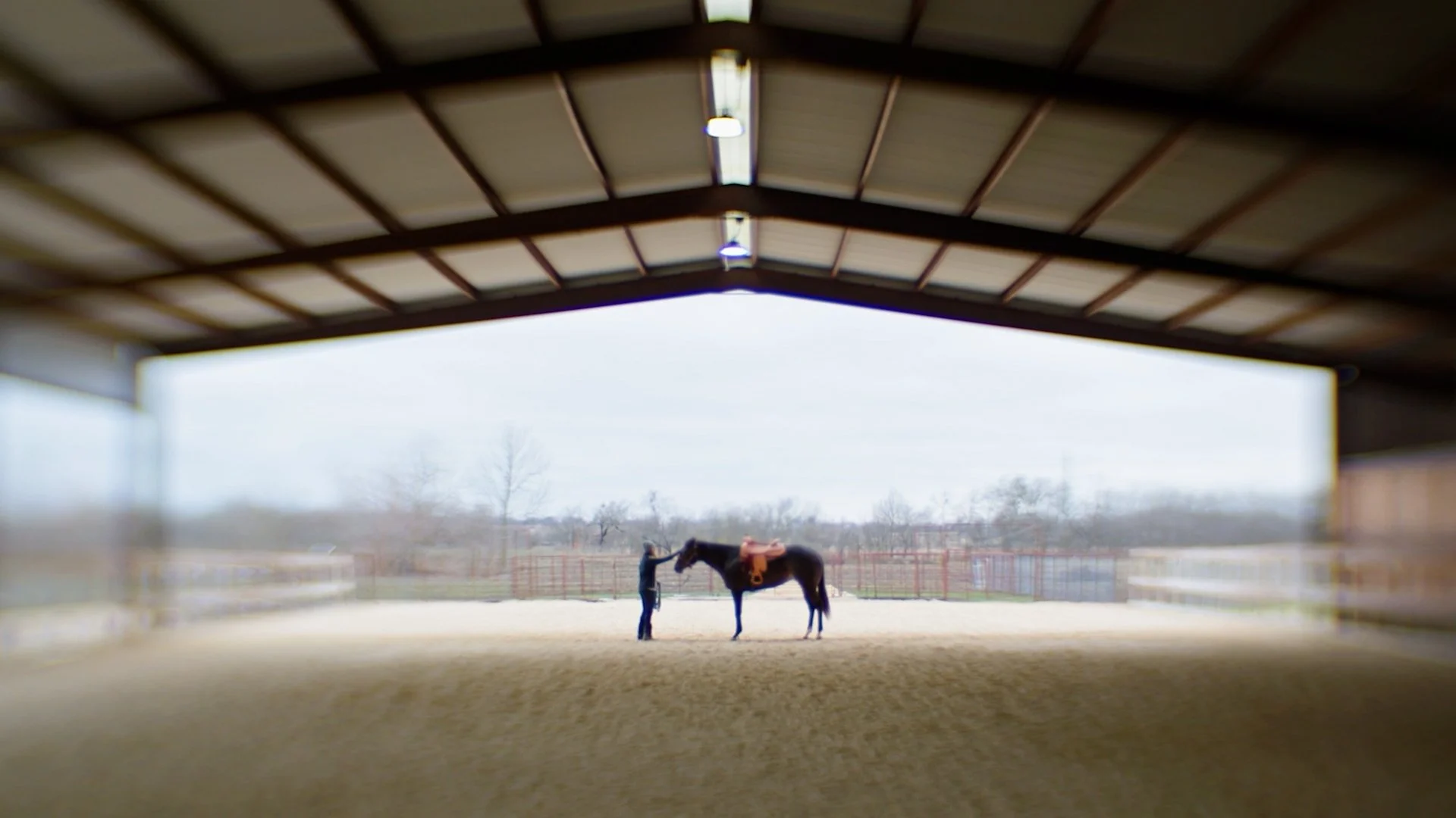 SOAR Riding // Fundraiser