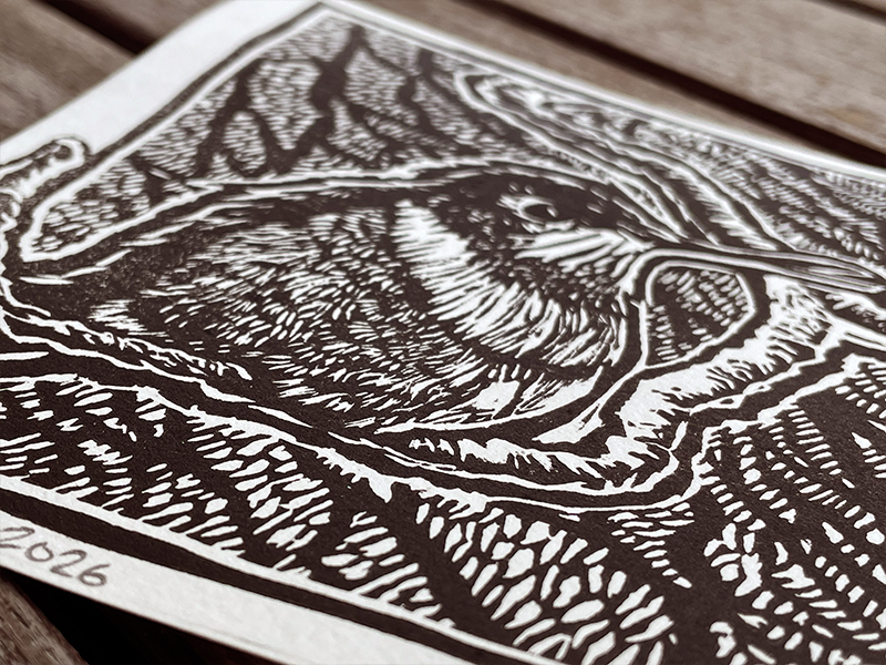 MattMadeArt-Sentinel-Detail.png