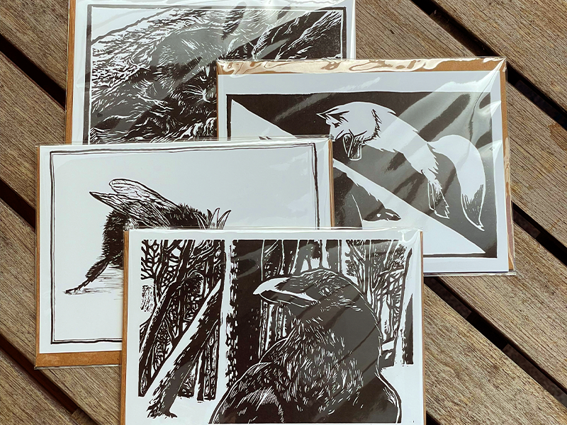 Greeting Card 4-Pack