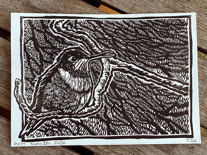 Photo of a black and white linocut art print of a hummingbird sitting on a branch in front of an abstract background, made by Matt Swanson