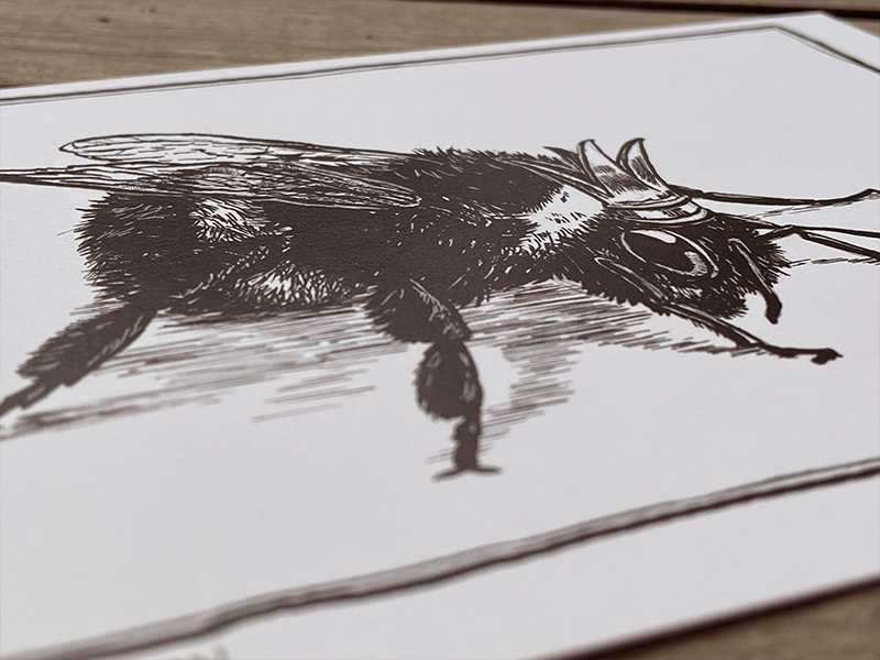 MattMadeArt-Bee-Detail.png