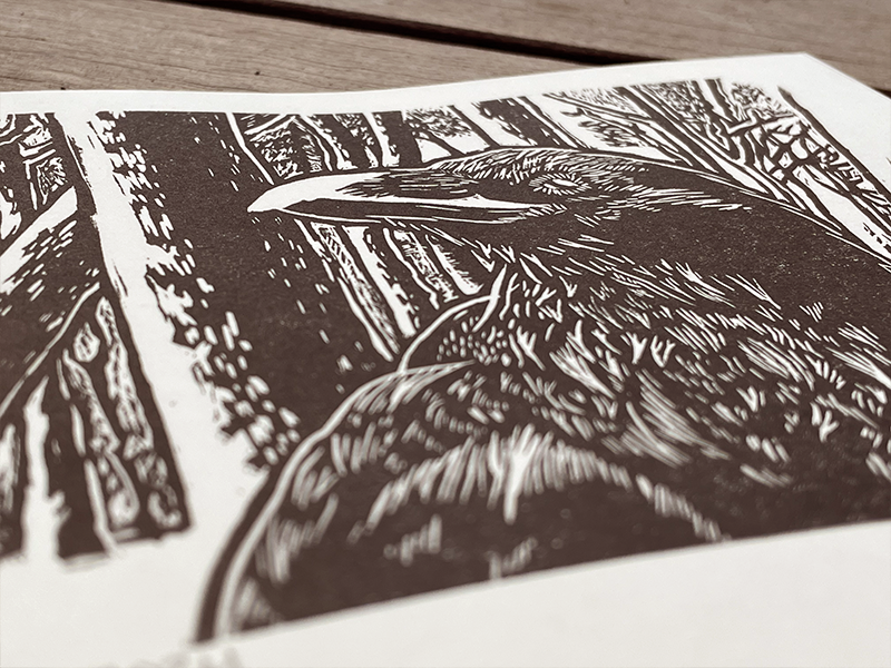 MattMadeArt-Raven-Detail.png