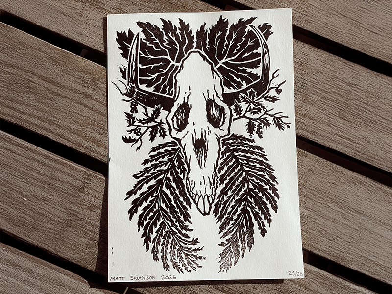 Photograph of a black and white linocut art print featuring a stylized skull with horns with holly branches, oak leaves and ferns arranged around it, made by Matt Swanson