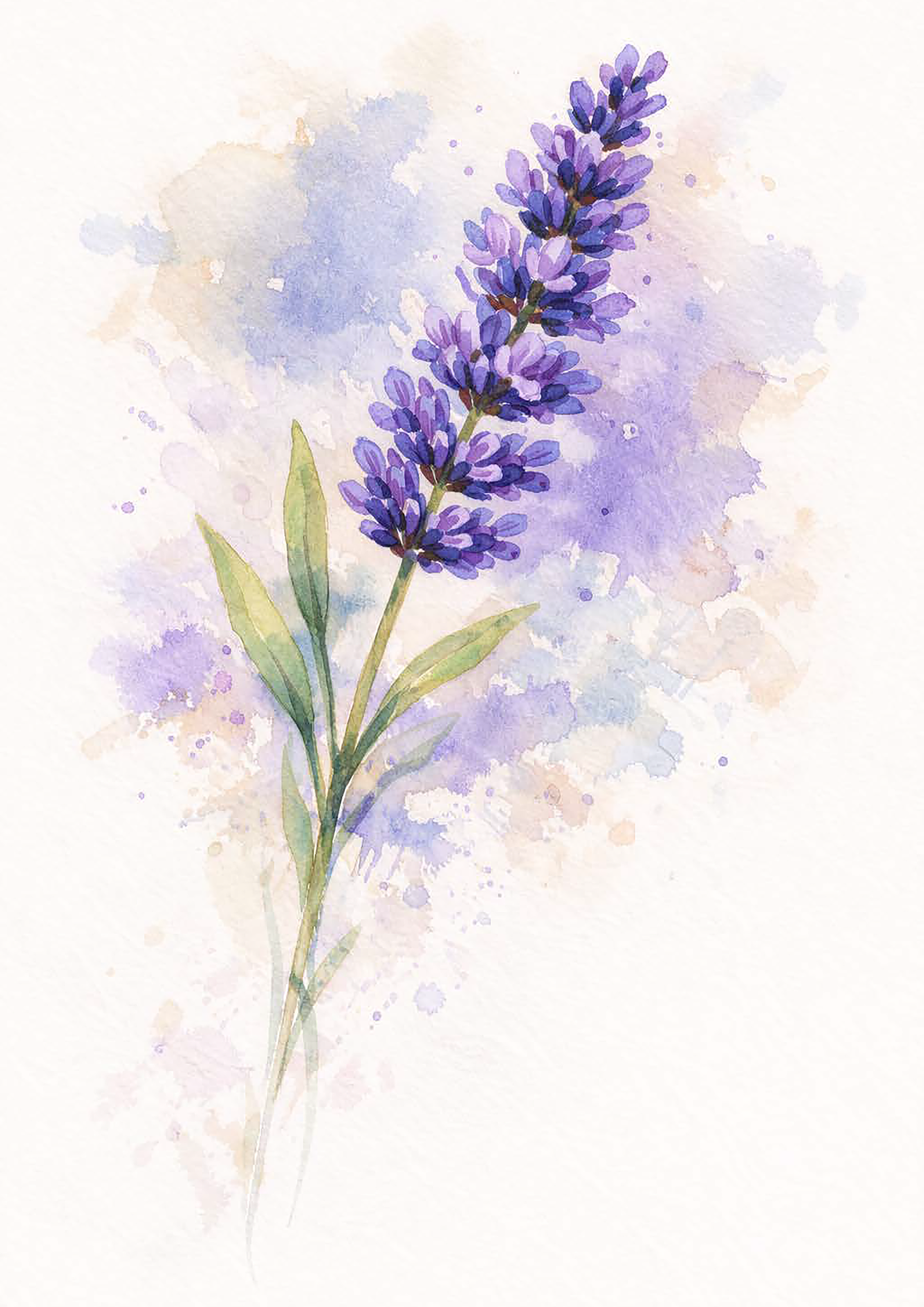 Watercolor painting of a lavender flower with green leaves and purple blossoms against a pastel background.