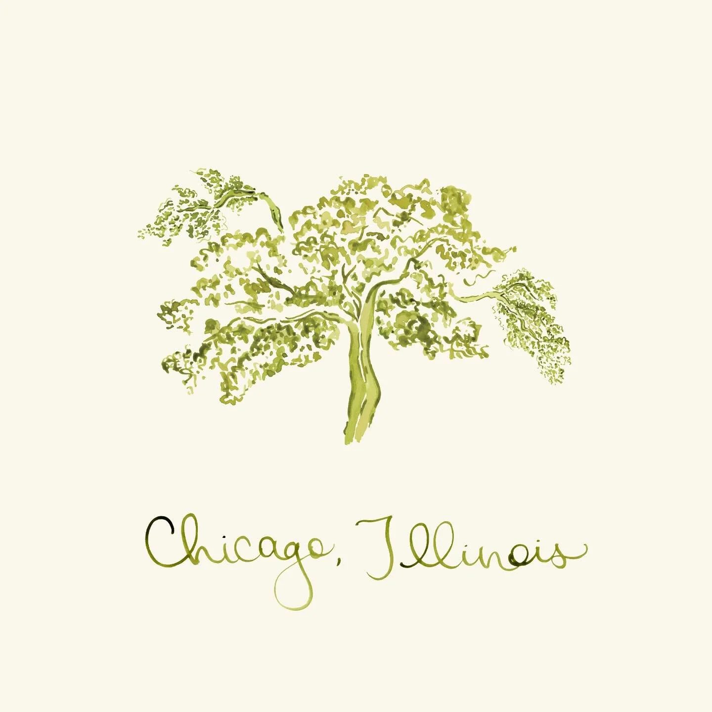 Little Chicago illustrations for M+A 💚