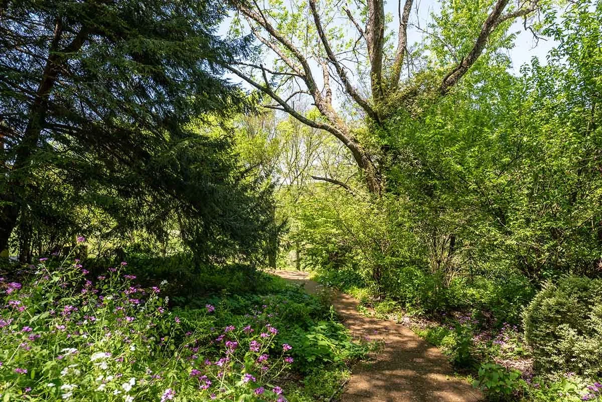 Sycamore Springs TN hiking and horse paths at airbnb.jpg