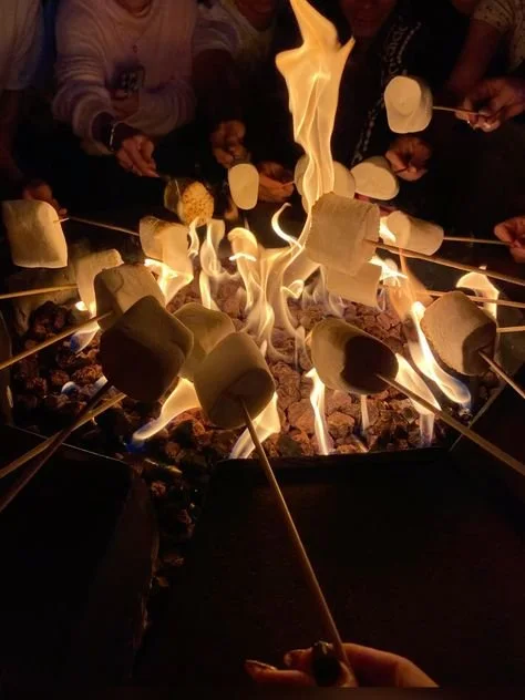 Double Occupancy · Driver — Payment Plan (Early Bird)