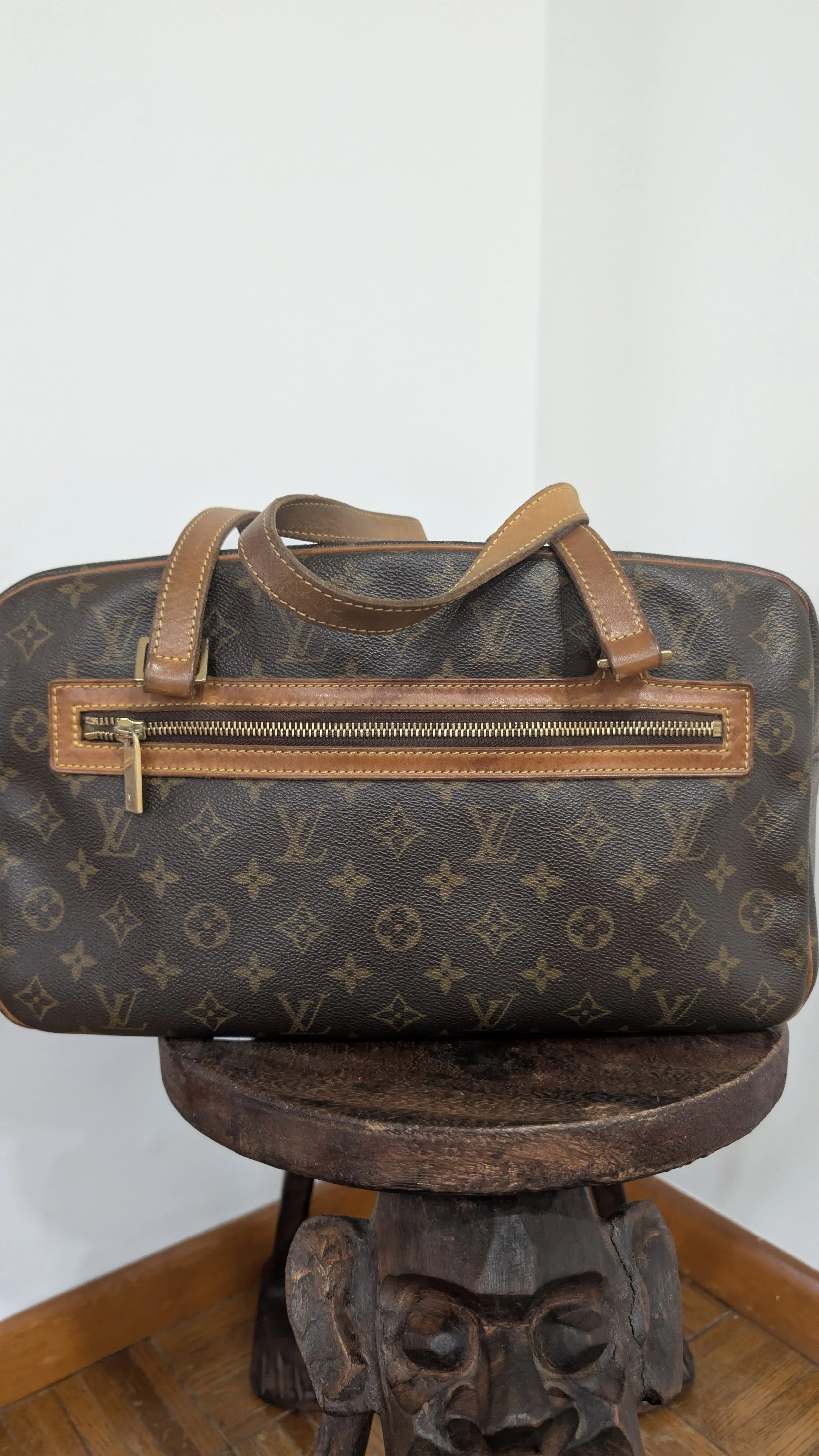 Louis Vuitton Travel / Camera bag