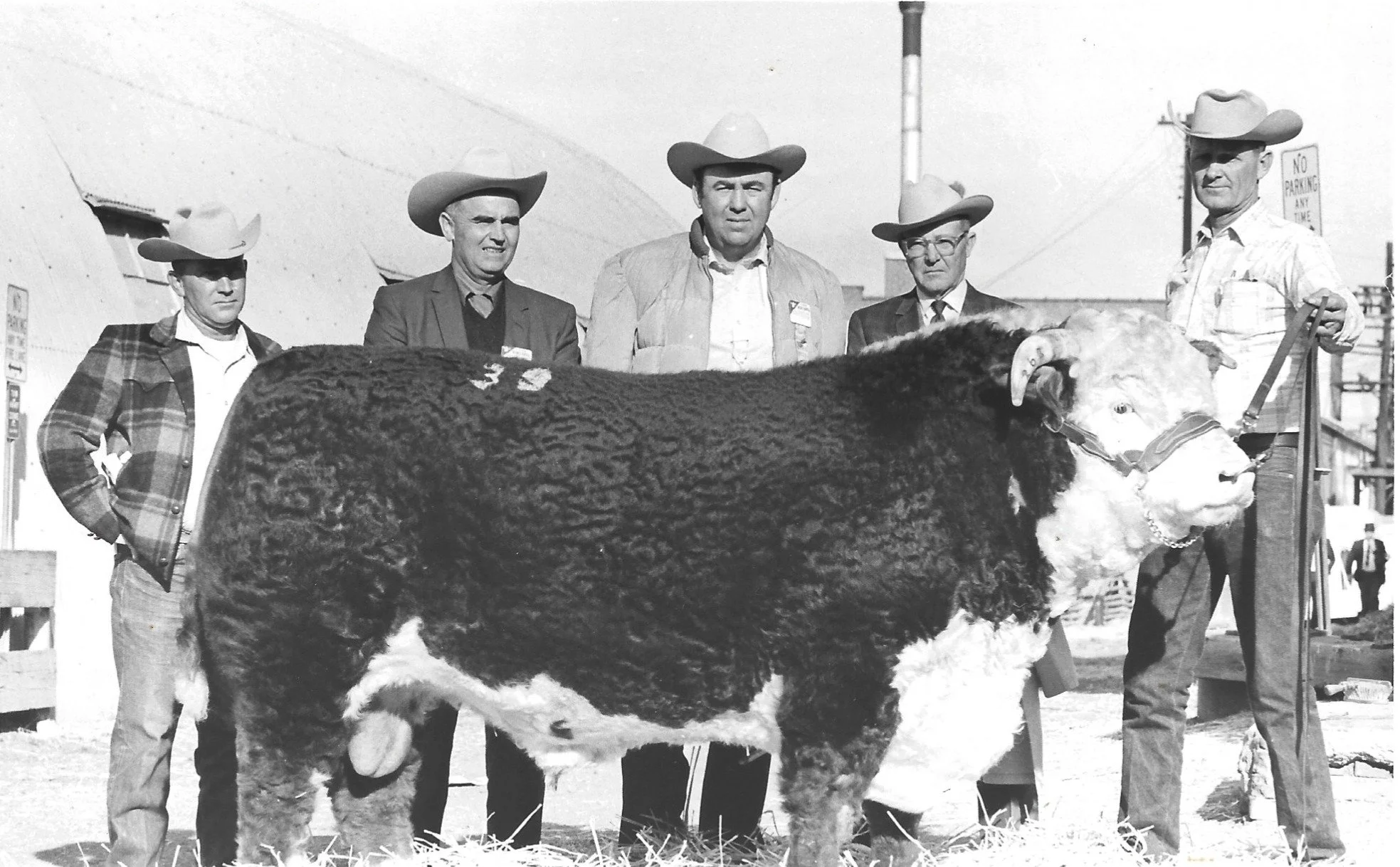 Jim Luther (middle), former owner of the ranch house, when the property operated as a Hereford cattle ranch breeding and showing prize bulls with The American Hereford Association.
