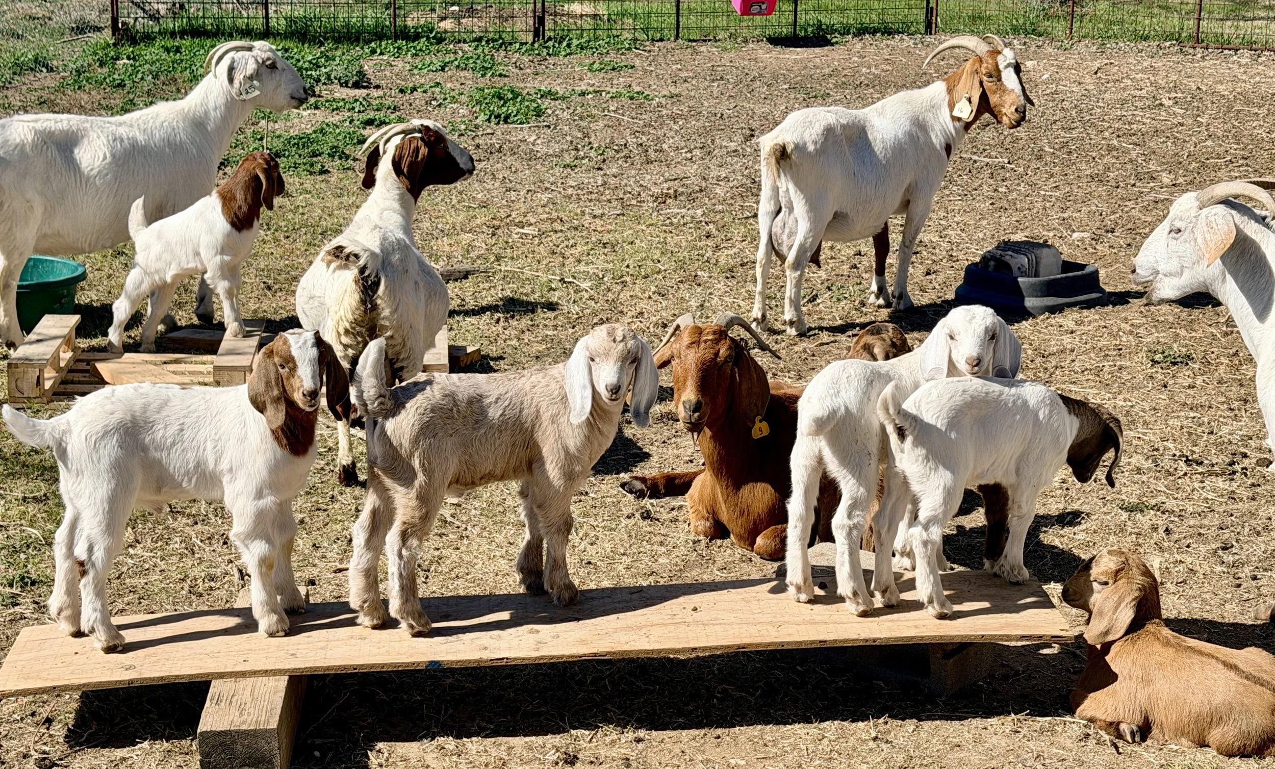 Outdoor & Ranch Features