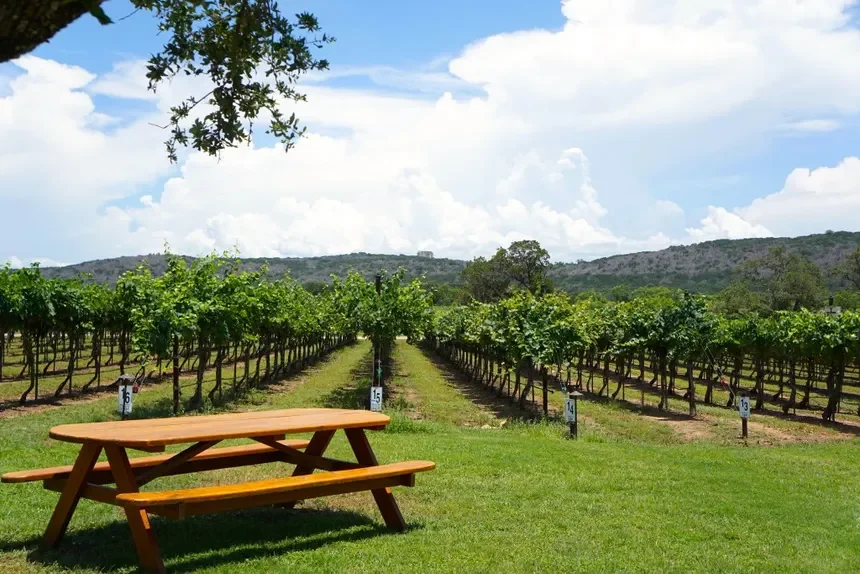 Wineries & Breweries