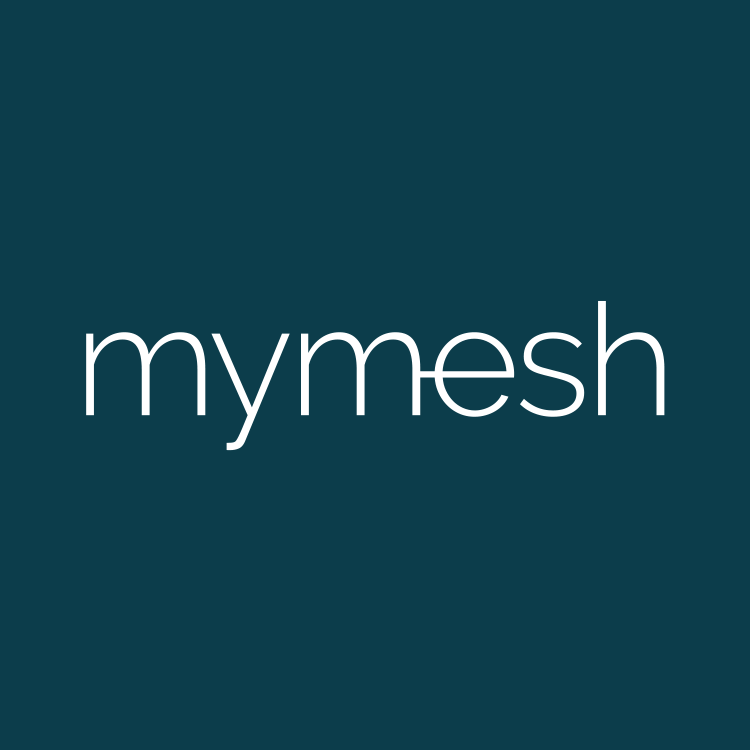 MYMESH.png