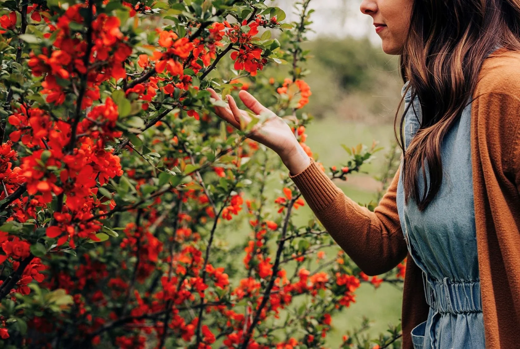 A woman inspecting red flowers on a bush outdoors