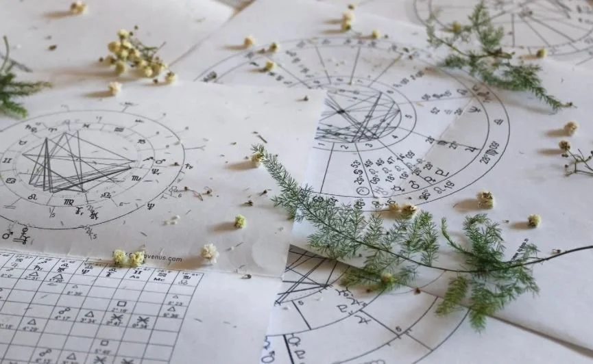 Astrological charts with scattered dried flowers and botanical elements on top.