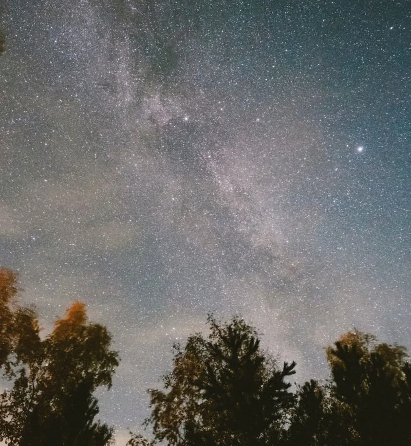 Night sky filled with stars and the Milky Way galaxy, with silhouettes of trees in the foreground.