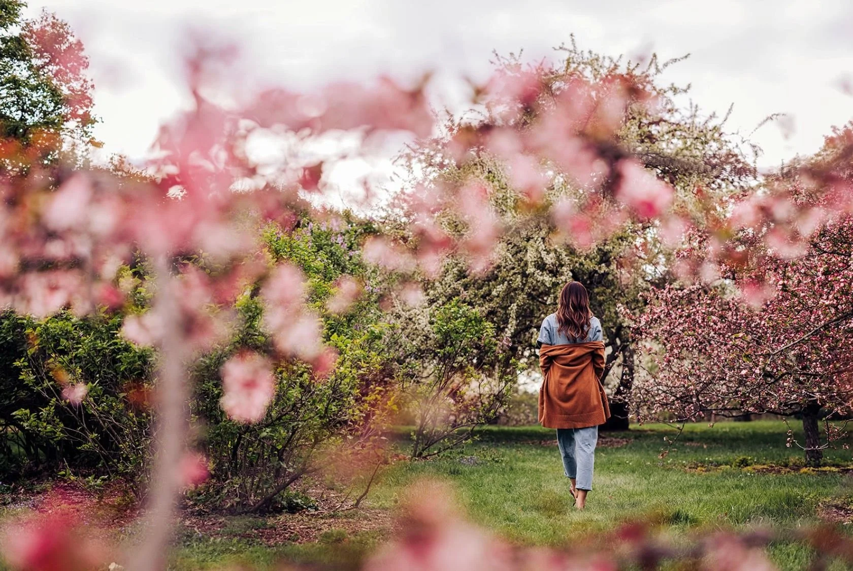 A woman walking in a garden surrounded by pink and white flowering trees on a cloudy day