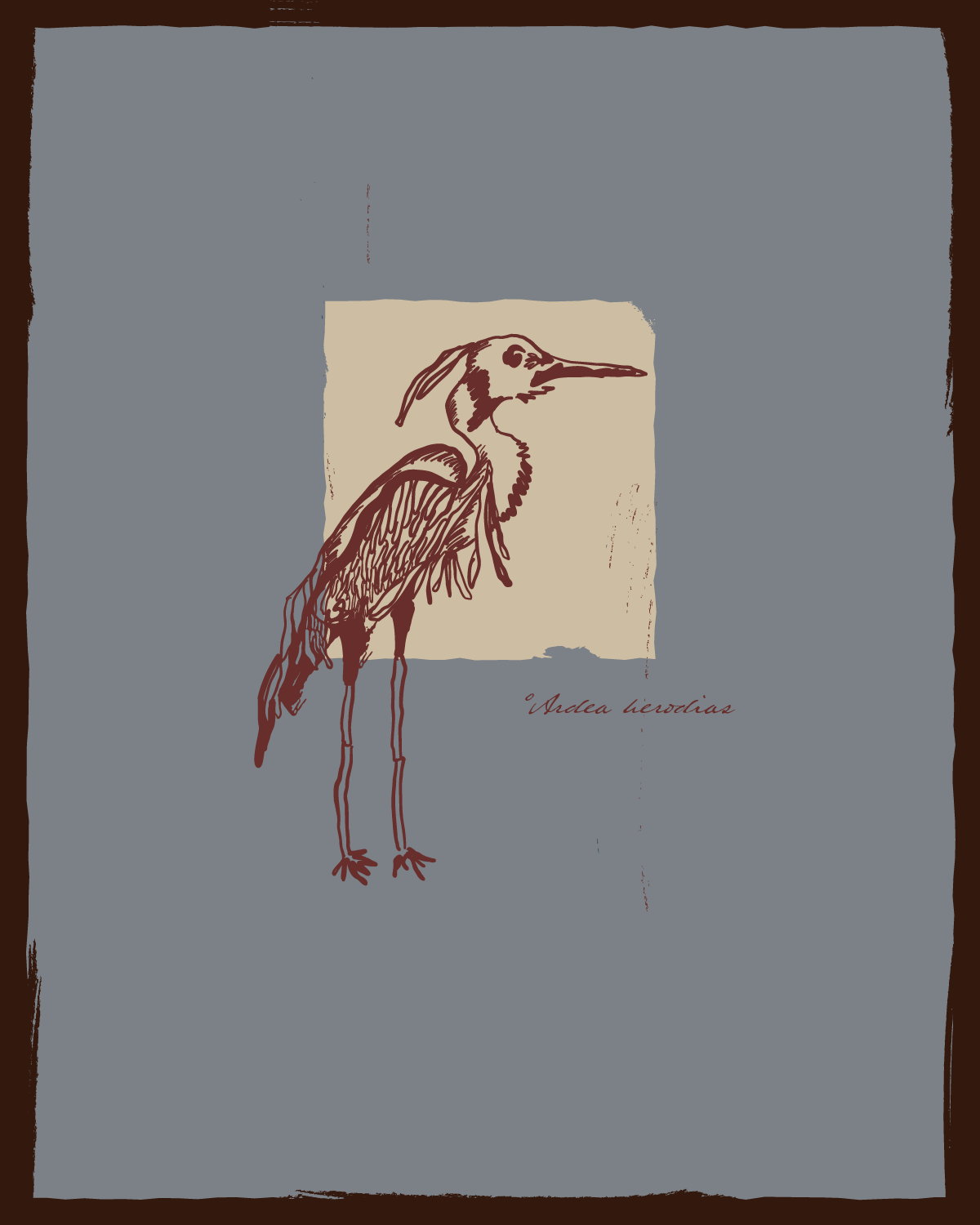Drawing of a heron with the text 'Ardea herodias' written underneath, on a blue background.
