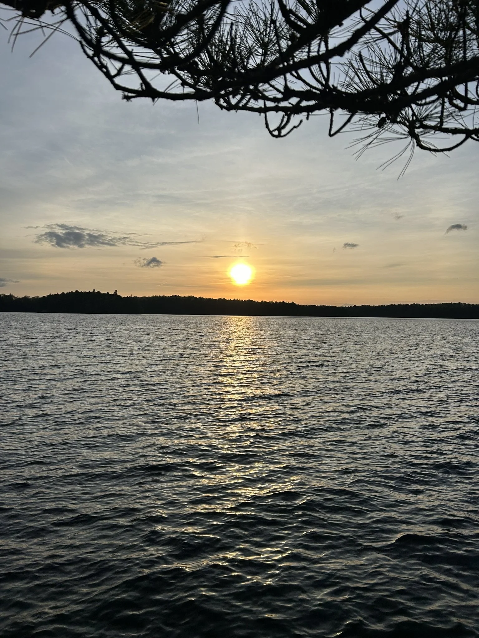 IMG_4231.JPEG
