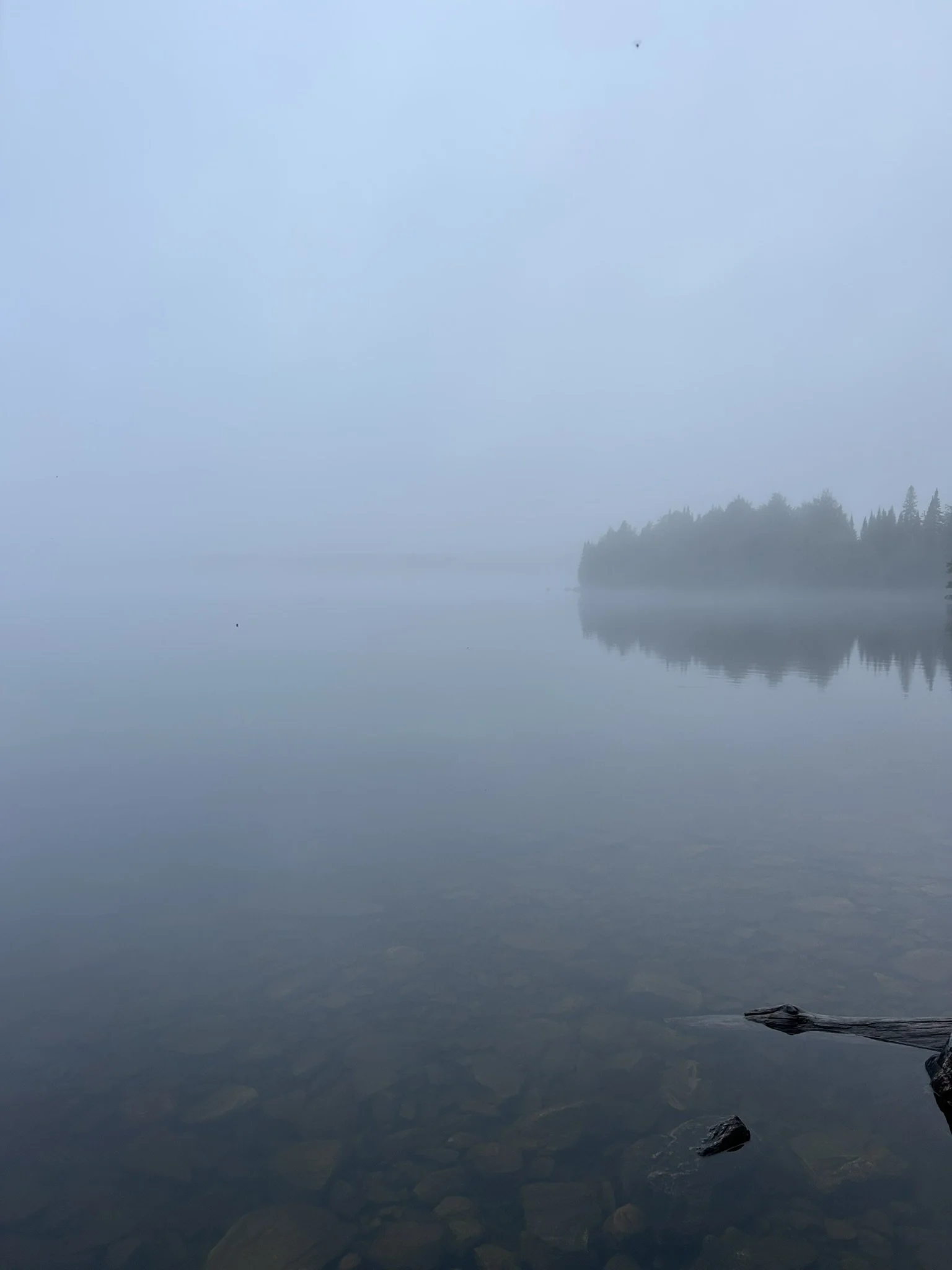 IMG_4086.JPEG