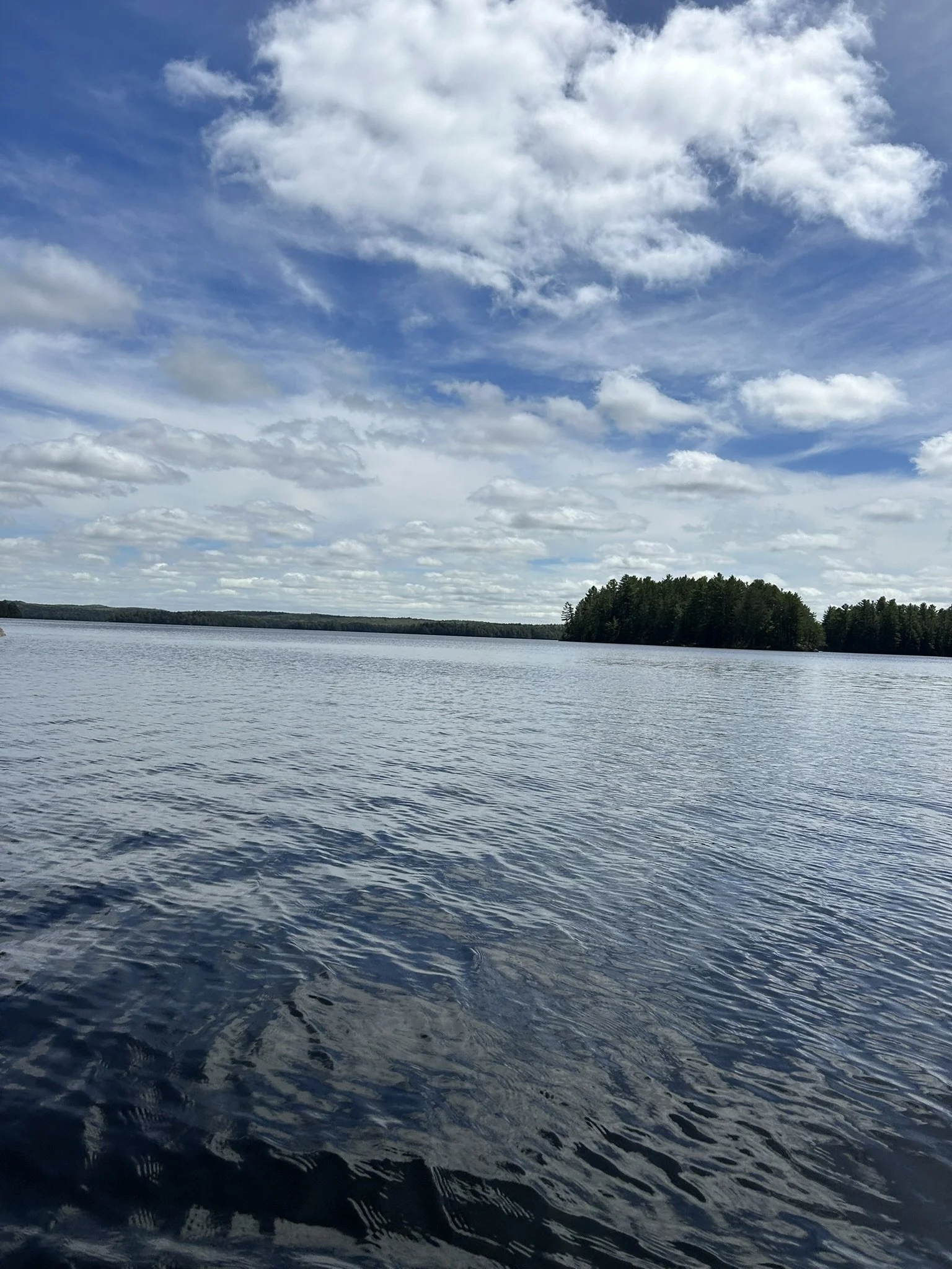 IMG_4292.JPEG