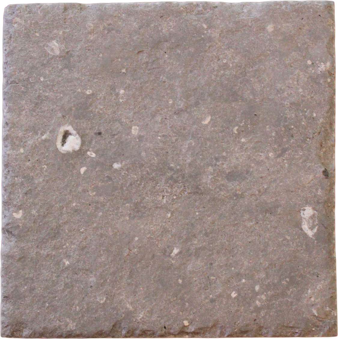 Northbay West Gray: Square Cut, 320