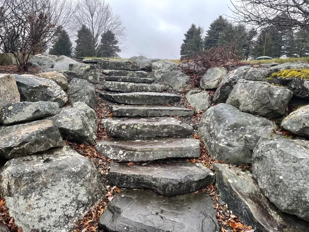 Stone staircase outdoors surrounded by large rocks and trees, with overcast sky.