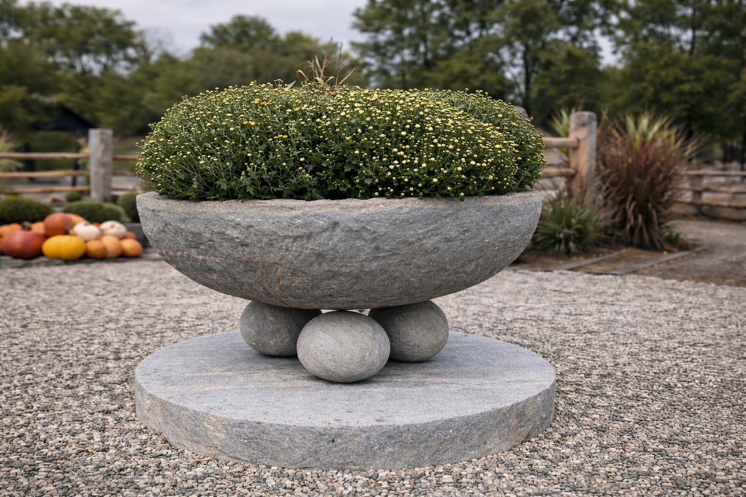 Gray stone planter with a rounded shape, filled with small green plants and tiny white flowers, supported by four smaller round stones on a large flat stone base, outdoors in a garden setting.