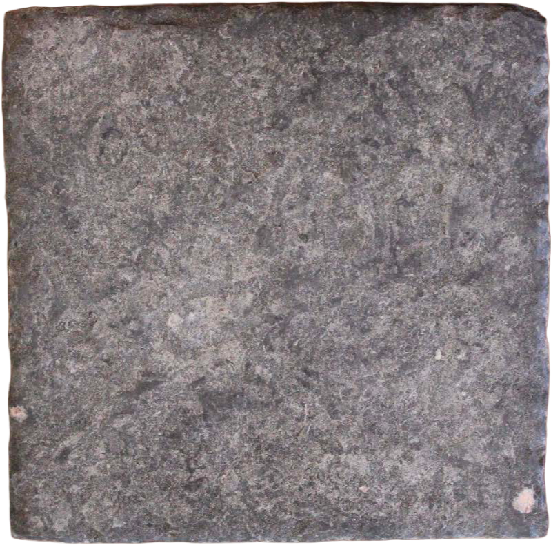 Blue Sager: Heavy Snap, Flat 400