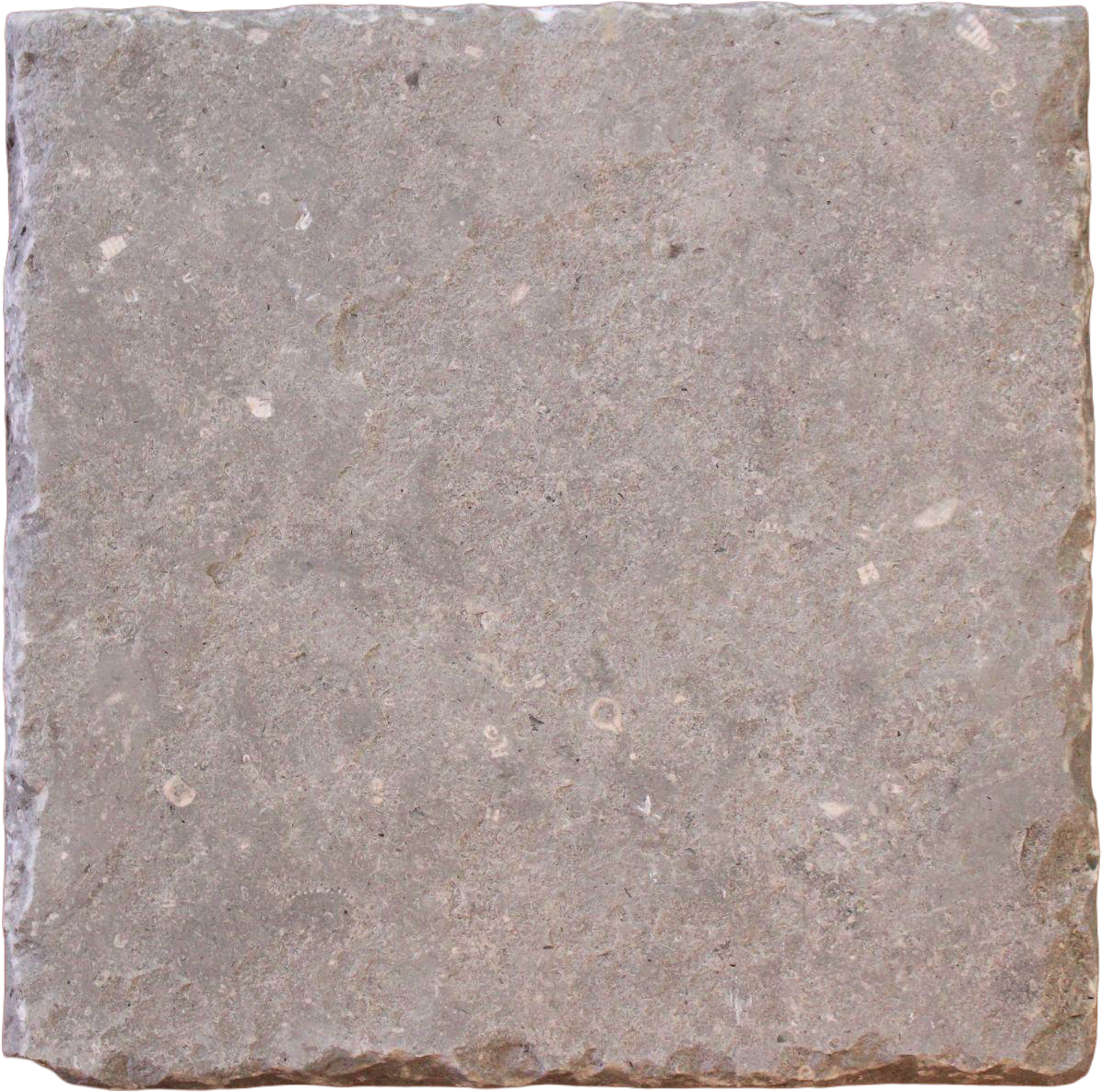 Northbay West Gray: No Edge, Flat 400