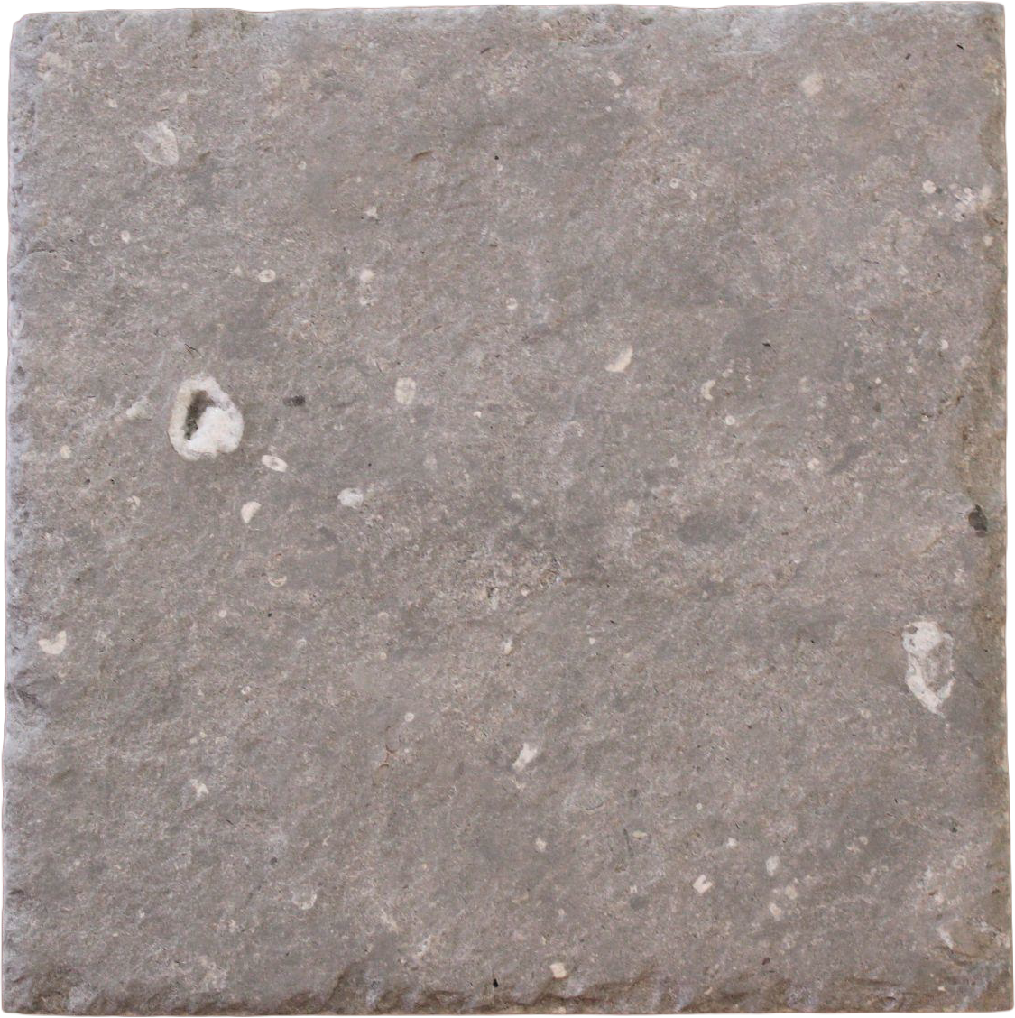 Northbay West Gray: Square Cut, 320