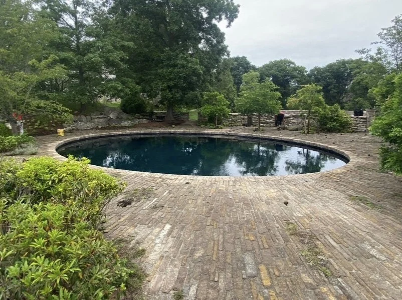 A small, oval-shaped swimming pool surrounded by brick paving and lush green trees and bushes.