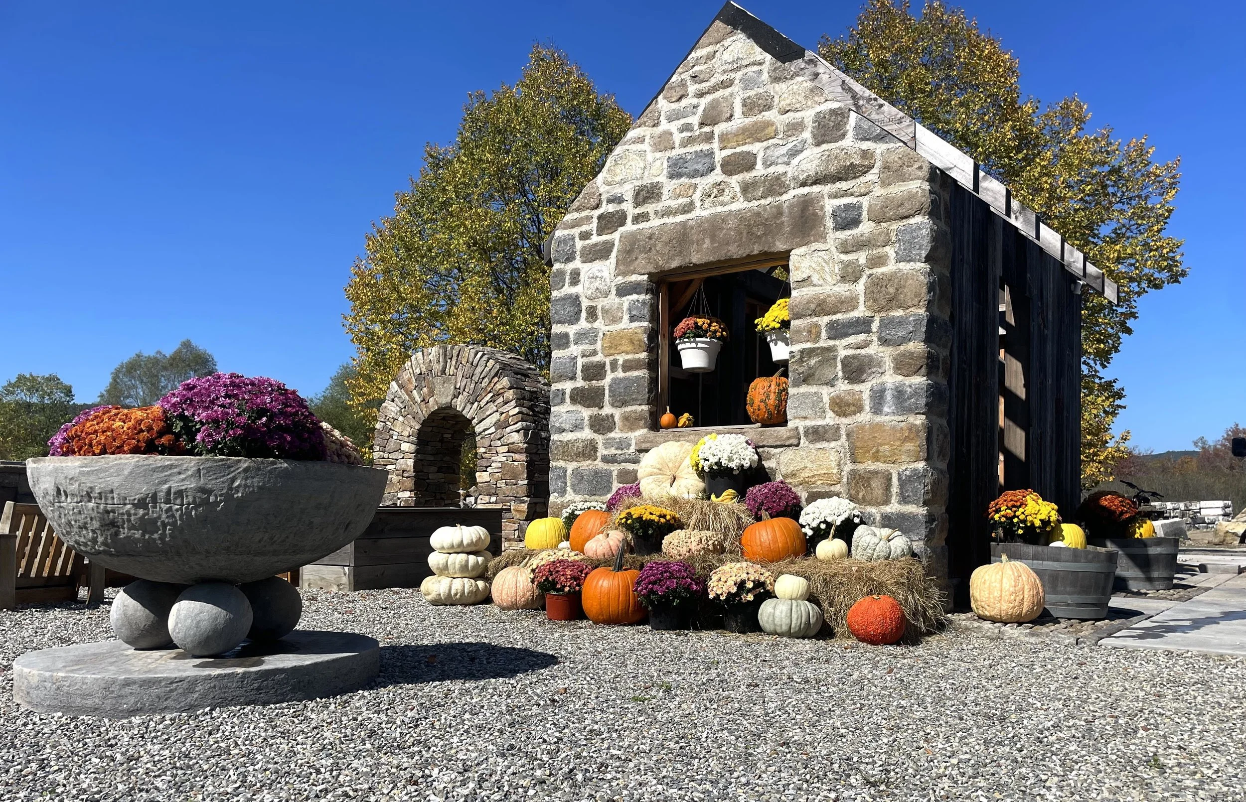 Autumn display of pumpkins and flowers outside a stone and black wooden shed with a stone arch behind it, under a clear blue sky.