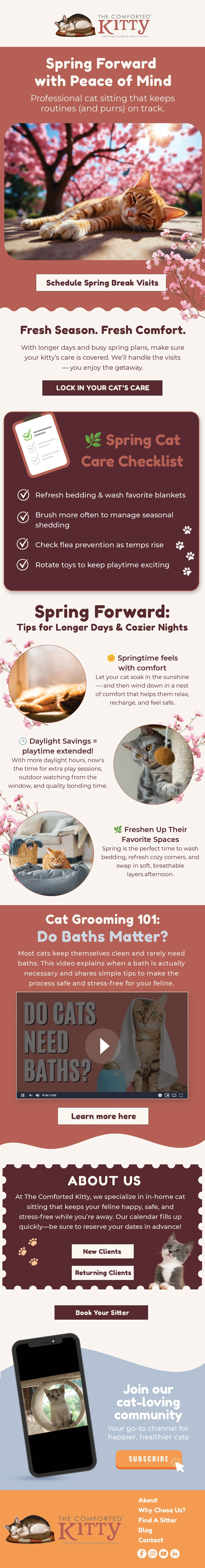 The_comfort_kitty3.3.26.jpg