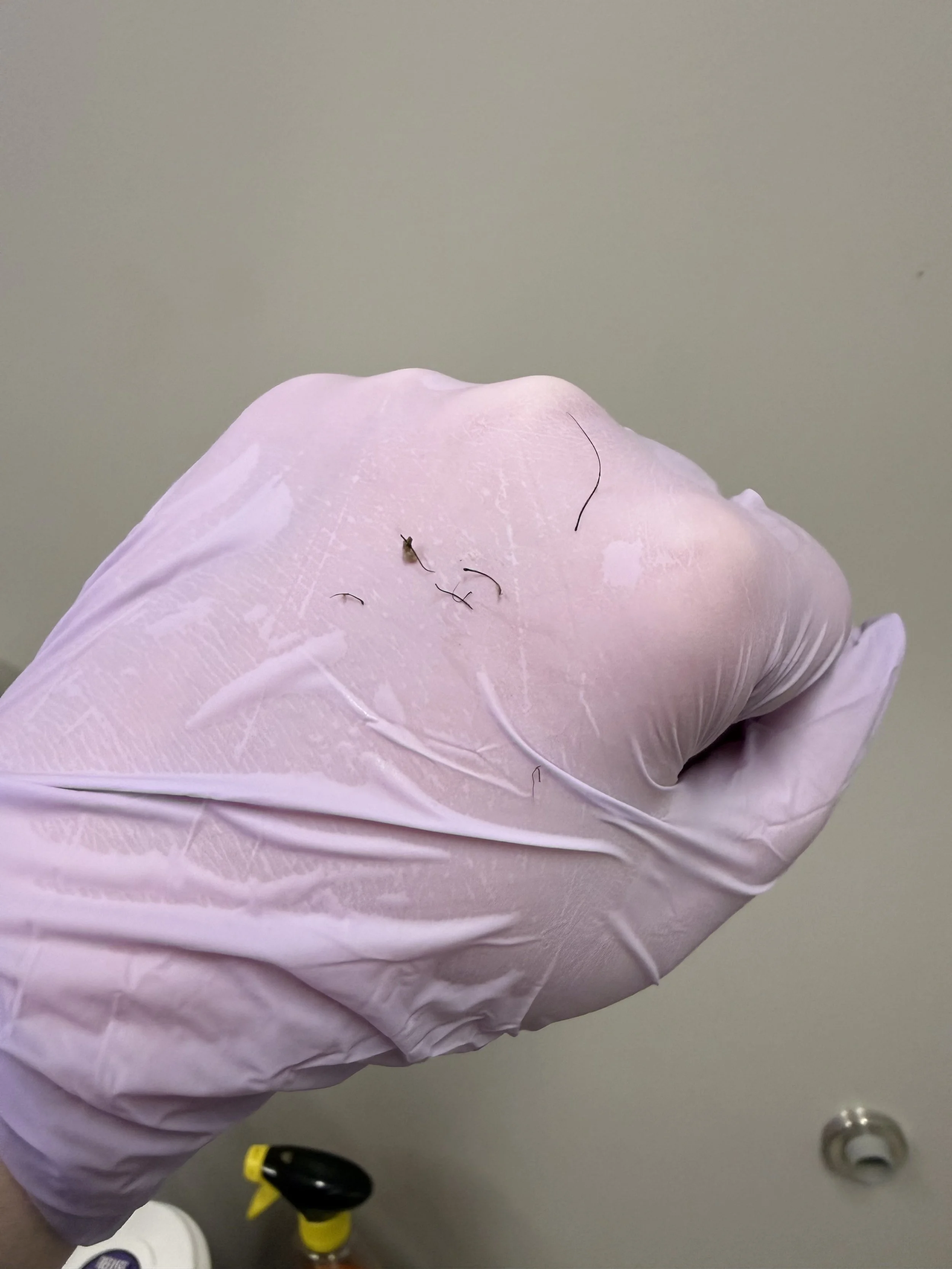 the reason you’re still getting ingrowns with waxing